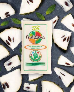 Pulpa de Fruta