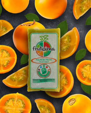 Pulpa de Fruta